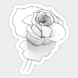 A Rose is a Rose Sticker